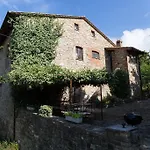 Paradiso41