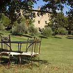 Paradiso41