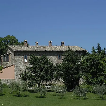 Paradiso41 *