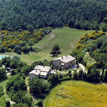 Paradiso41 * Assise