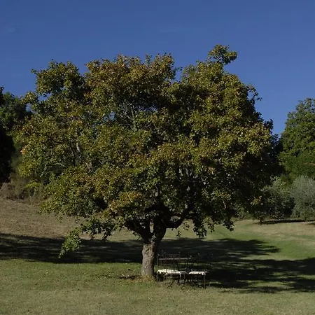 Фермерский дом Paradiso41