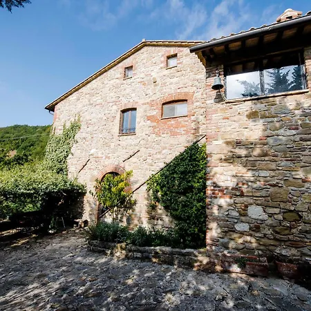 Paradiso41 * Ассизи