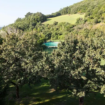 Paradiso41 Farmház