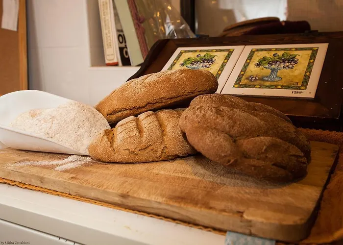 Paradiso41 Séjour à la ferme Assise