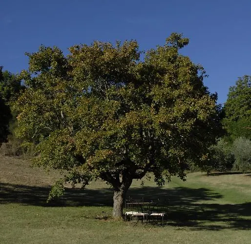 Farm stay Paradiso41