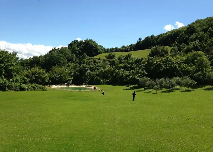 Séjour à la ferme Paradiso41